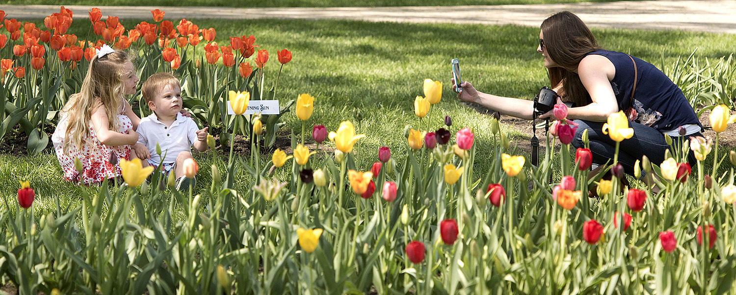 2018 Tulip Festival